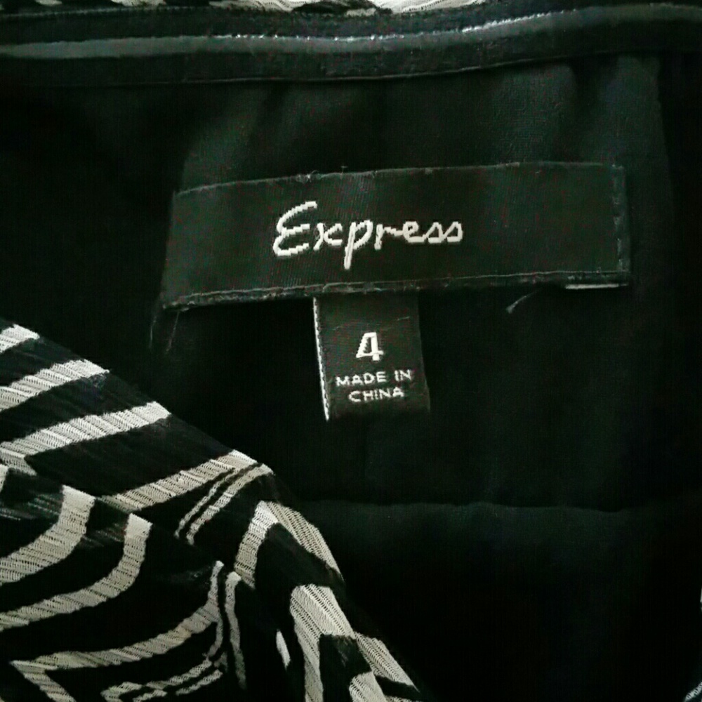 Express Dress - Picture 3 of 3